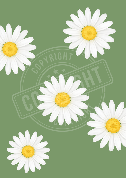 Affiche pâquerettes 🌼